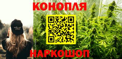 прущие грибы Обь