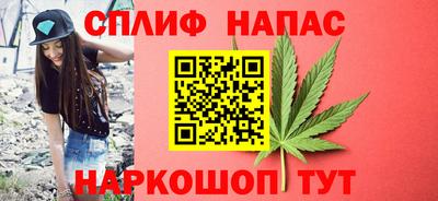 прущие грибы Обь
