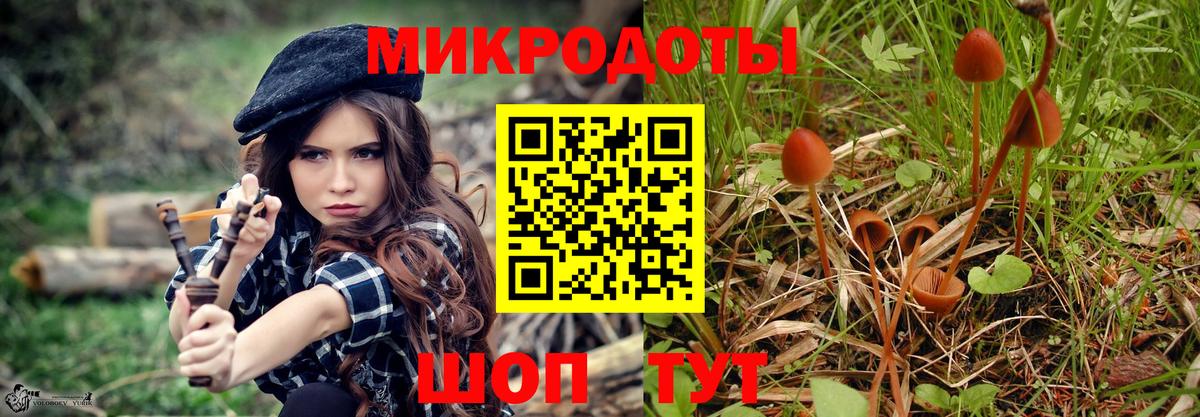 Псилоцибиновые грибы Psilocybe  Псилоцибиновые грибы Cubensis  Вход с VPN  Свободный 