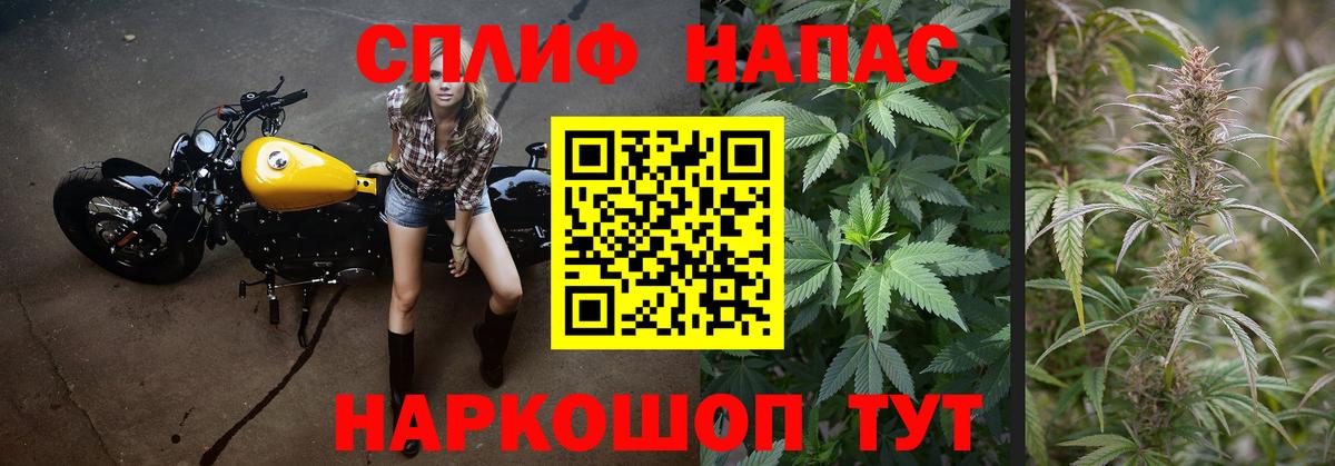 Бошки марихуана SATIVA & INDICA Свободный